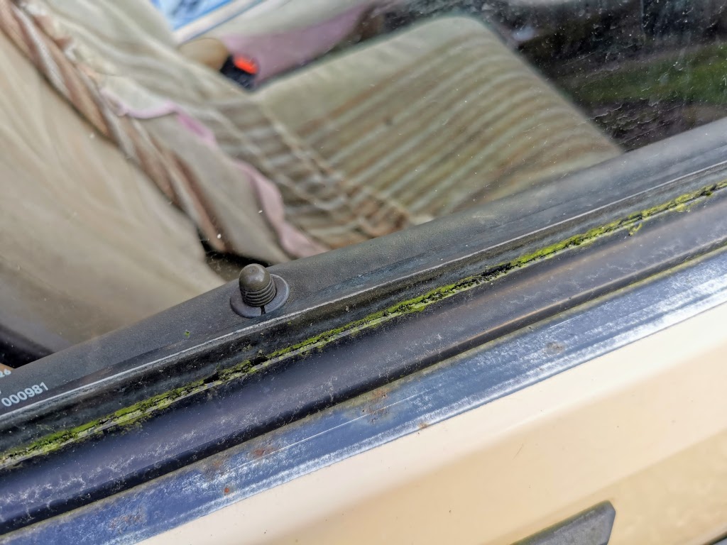Mossy window seals...Though that means nothing.  Both the Jag and Xantia have moss here and they're in regular use and are regularly cleaned!