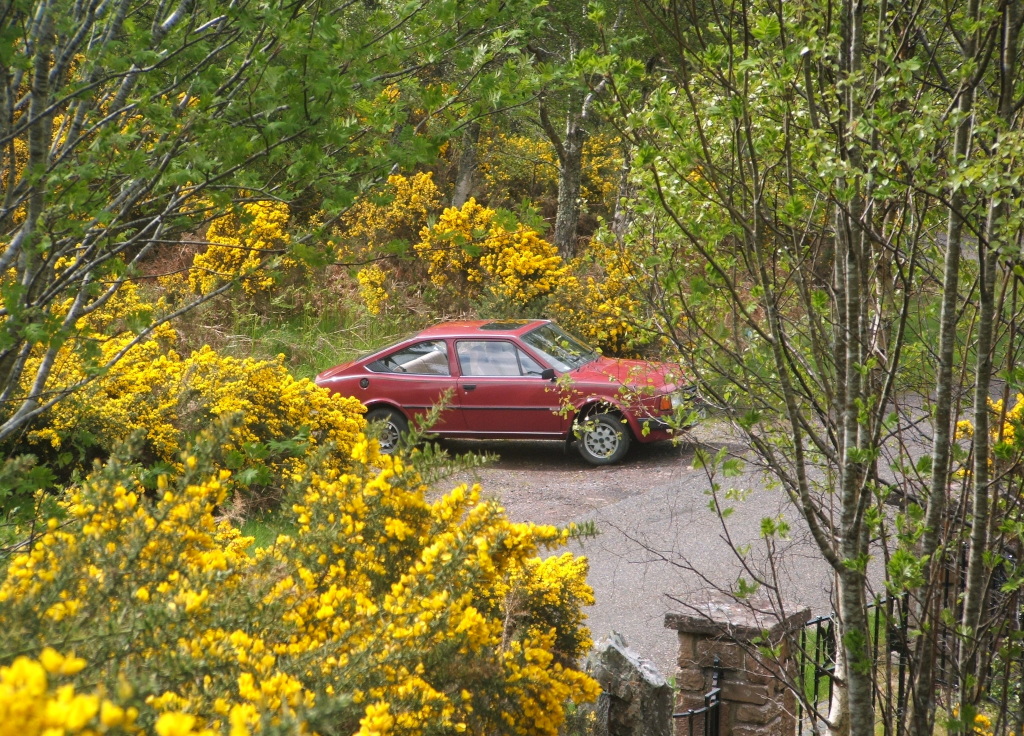1991 Skoda 135 RiC Rapid viewed through bushes during a road trip to Aviemore.