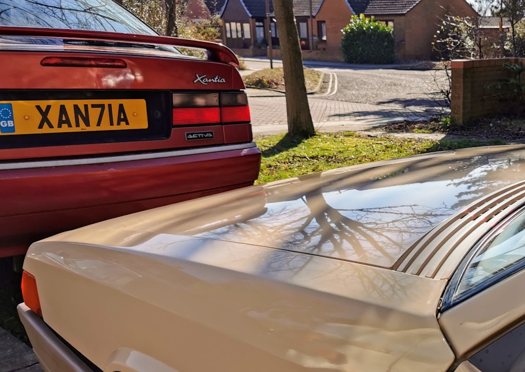 Citroen BX14RE after first polish, bonnet from low angle