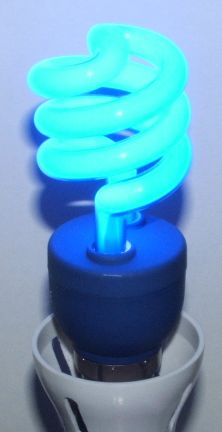 Impact Color Spiral 15W Blue Compact Fluorescent Lamp - Overview of the lamp while lit
