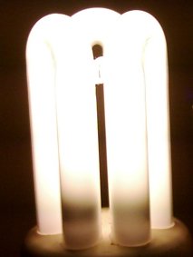 Mercury 15W 2700K Compact Fluorescent Lamp - Detail of lamp shown lit