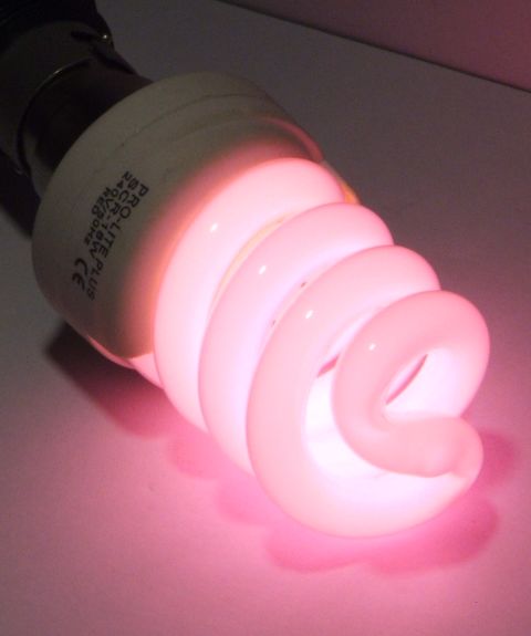 Pro-Lite SCR-18 Coloured Compact Fluorescent Lamp - Overview of red lamp while lit