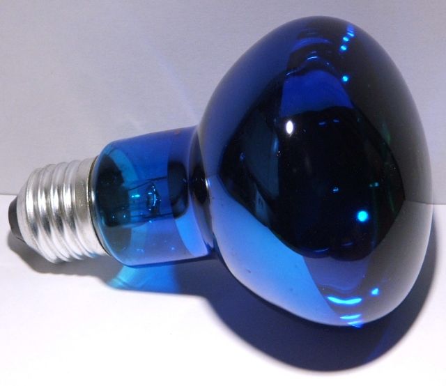 Candela R-80 Spot Blue Reflector Lamp - General overview