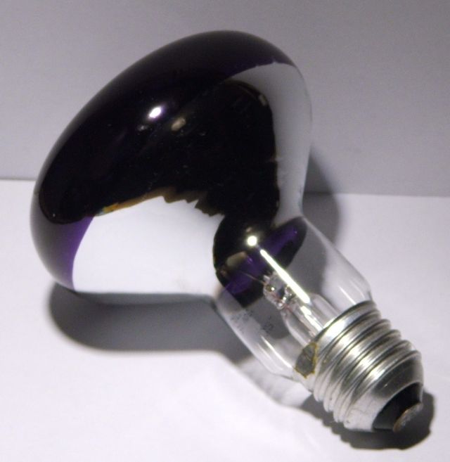 Leuci R80 60W Violet Coloured Reflector Lamp - Showing rear of reflector and lamp cap