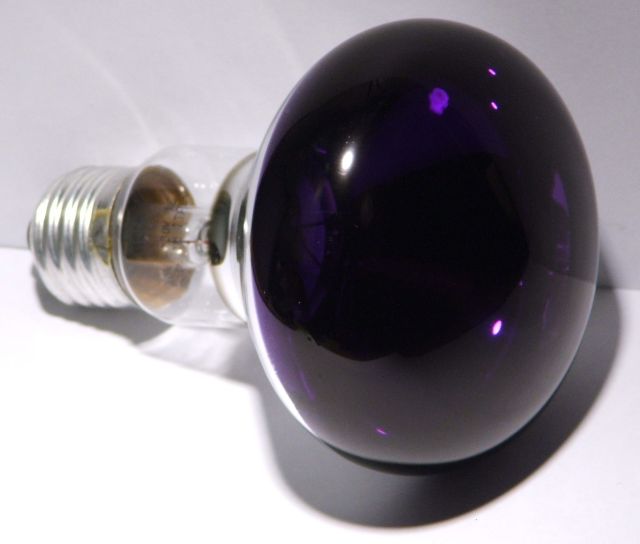 Leuci R80 60W Violet Coloured Reflector Lamp - General overview