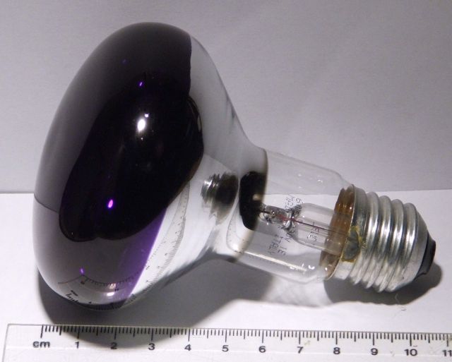 Leuci R80 60W Violet Coloured Reflector Lamp - Showing size of lamp