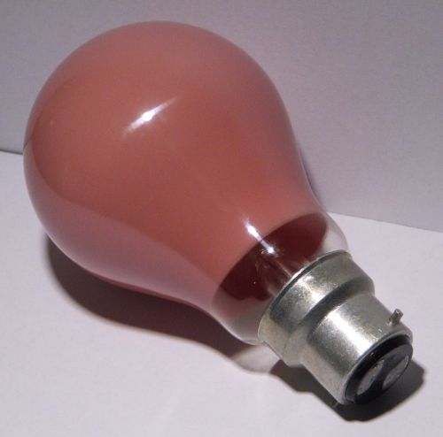 Morrisons 60W Red Coloured Lamp - Showing cap and rear of lamp