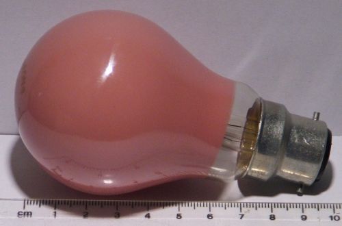 Morrisons 60W Red Coloured Lamp - Showing size of lamp