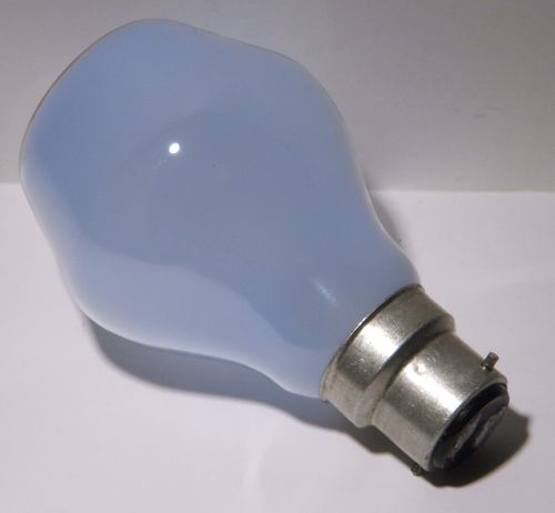 Osram Active 60W Day White Colour Corrected Lamp - Showing cap and rear of lamp