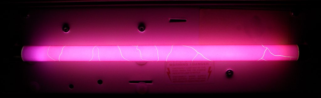 Philips TL 8W/35 - Pink Coated Fluorescent Tube - Shown while alight