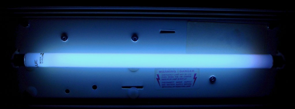 Endura F8T5 Blue Coloured Fluorescent Tube - Shown while alight